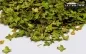 Preview: 1/16 diorama maple leaves realistic miniature leaves SPRING GREEN