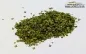 Preview: 1/16 diorama maple leaves realistic miniature leaves SPRING GREEN