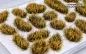 Preview: 1/16 Miniature Grass Model Making Grass Tufts Wilted Yellow