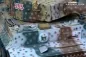 Preview: RC Panzer 2.4 GHz Tiger 1 RUSSIA SPRING 1943 ***Taigen Metall-Edition 360° *** 6mm Schussfunktion licmas-tank 1:16 Preview: RC Panzer 2.4 GHz Tiger 1 RUSSIA SPRING 1943 ***Taigen Metall-Edition 360° *** 6mm Schussfunktion licmas-tank 1:16