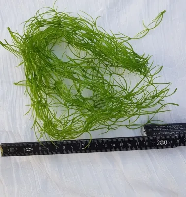 Diorama Panzer Zubehör Gras aus Kunststoff grün