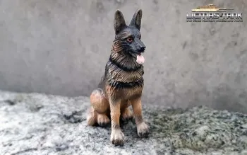 1/16 German Shepherd Dog