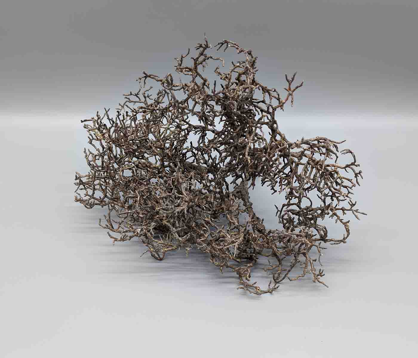1/16 Baum für Diorama aus Kunststoff 1/16 Baum für Diorama aus Kunststoff