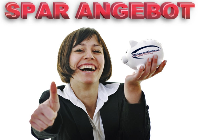 Top Angebot !!! Diorama 1:16 Spar Paket 29 Teile