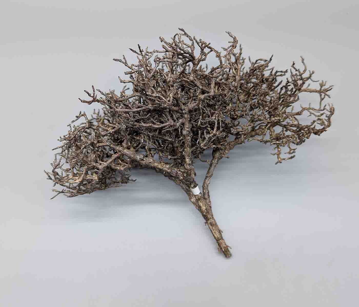 1/16 Baum für Diorama aus Kunststoff 1/16 Baum für Diorama aus Kunststoff